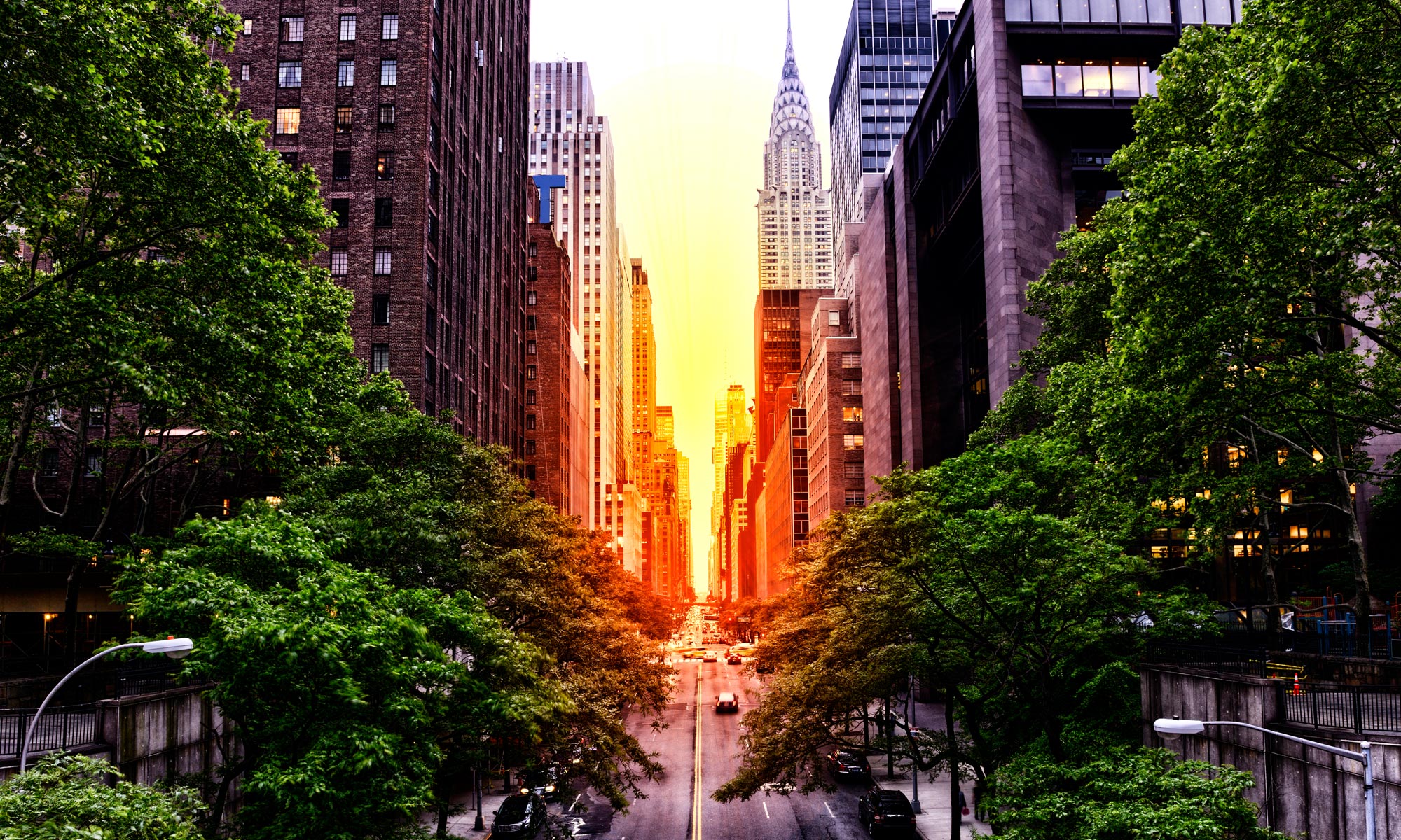Camelot Realty Group: 2025 Year in Review